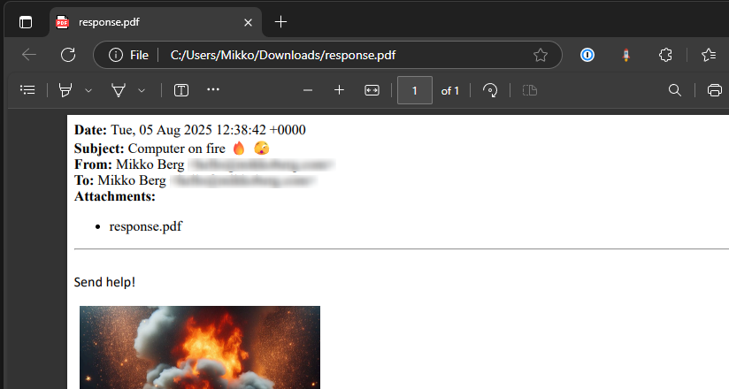 Screen shot of returned PDF file